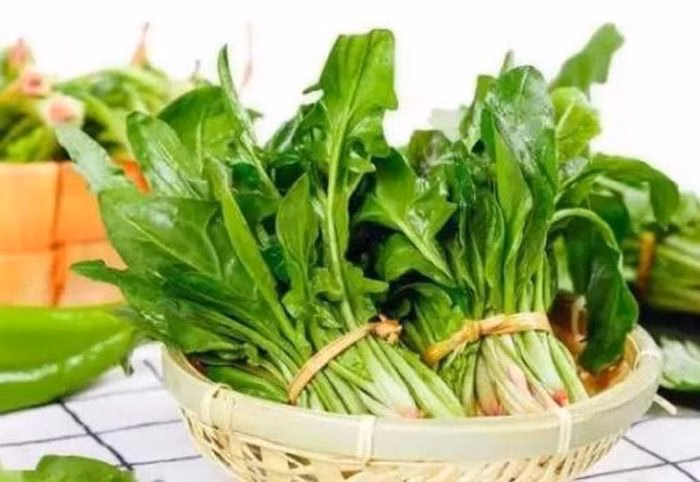 Cải bó xôi lá nhọn có vị chát đặc trưng do hàm lượng axit oxalic cao.